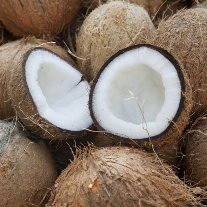 Coconut meat