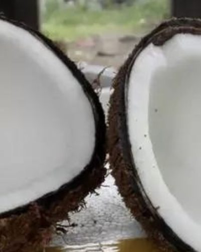Coconut meat halves